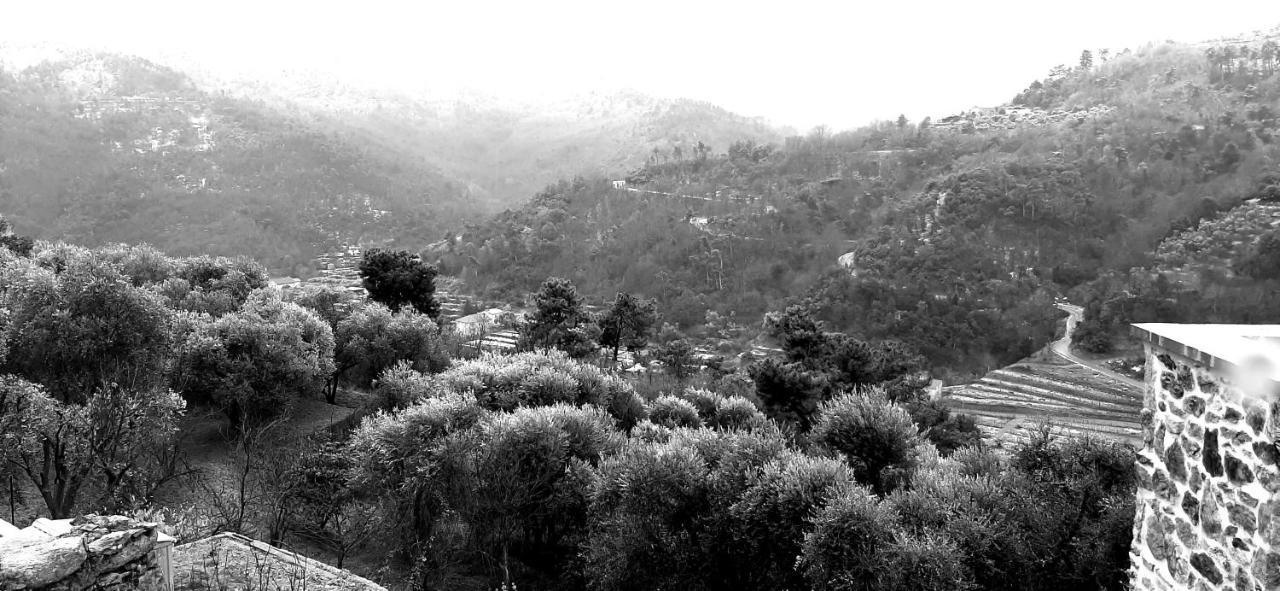B&B L' Antica Macina Quiliano Exterior photo